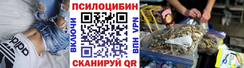 Псилоцибиновые грибы Psilocybe  Купить  Дербент 